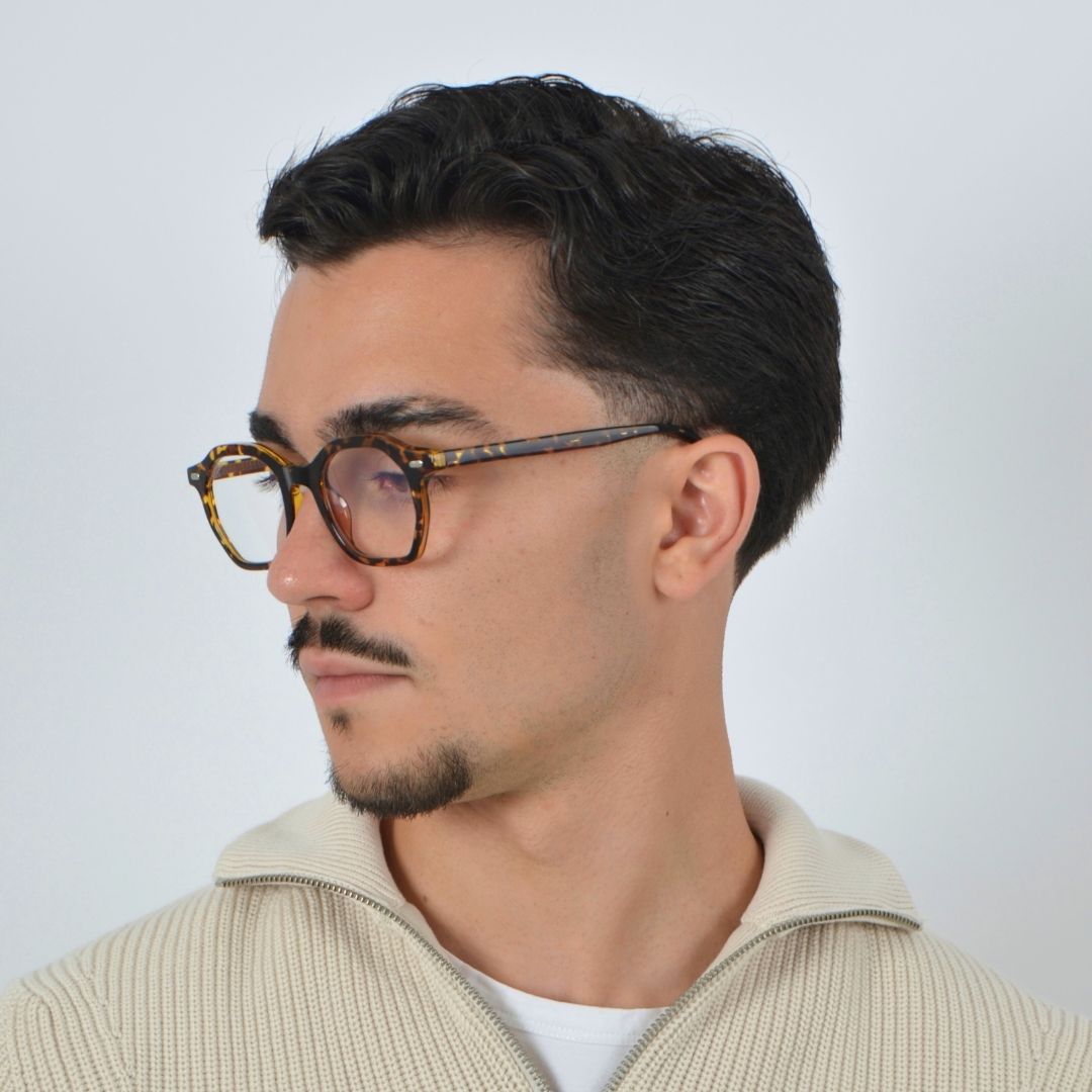 TOULON TORTOISE / CLAIR