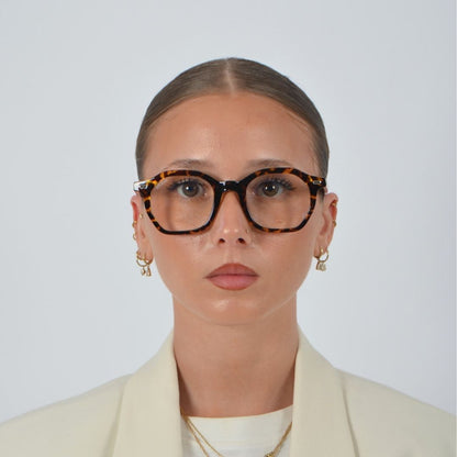 TOULON TORTOISE / CLAIR